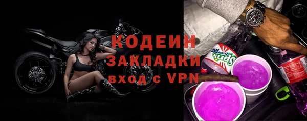 шишки Новозыбков