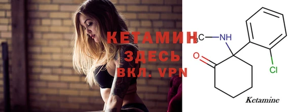 шишки Новозыбков
