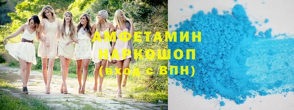 шишки Новозыбков