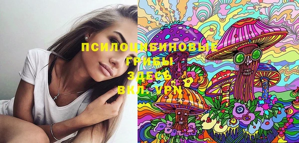 каннабис Новодвинск