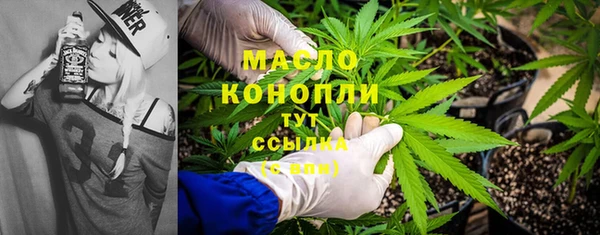шишки Новозыбков