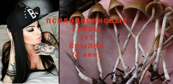 дмт Новокубанск