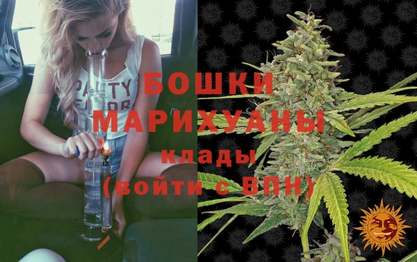 дмт Новокубанск