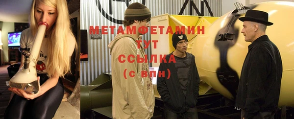 шишки Новозыбков